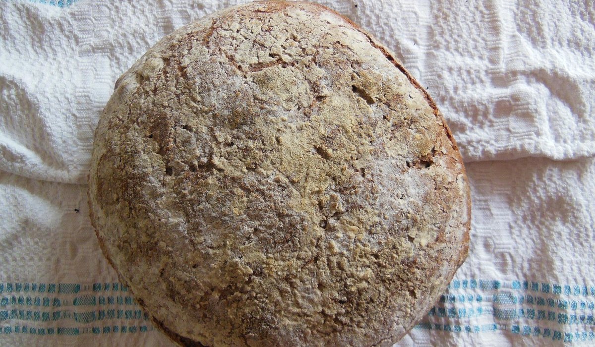 Wheataster